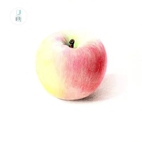 关注  铅笔画 临摹 插画师 手绘 铅笔画 马克 图片 彩铅画图片 入门