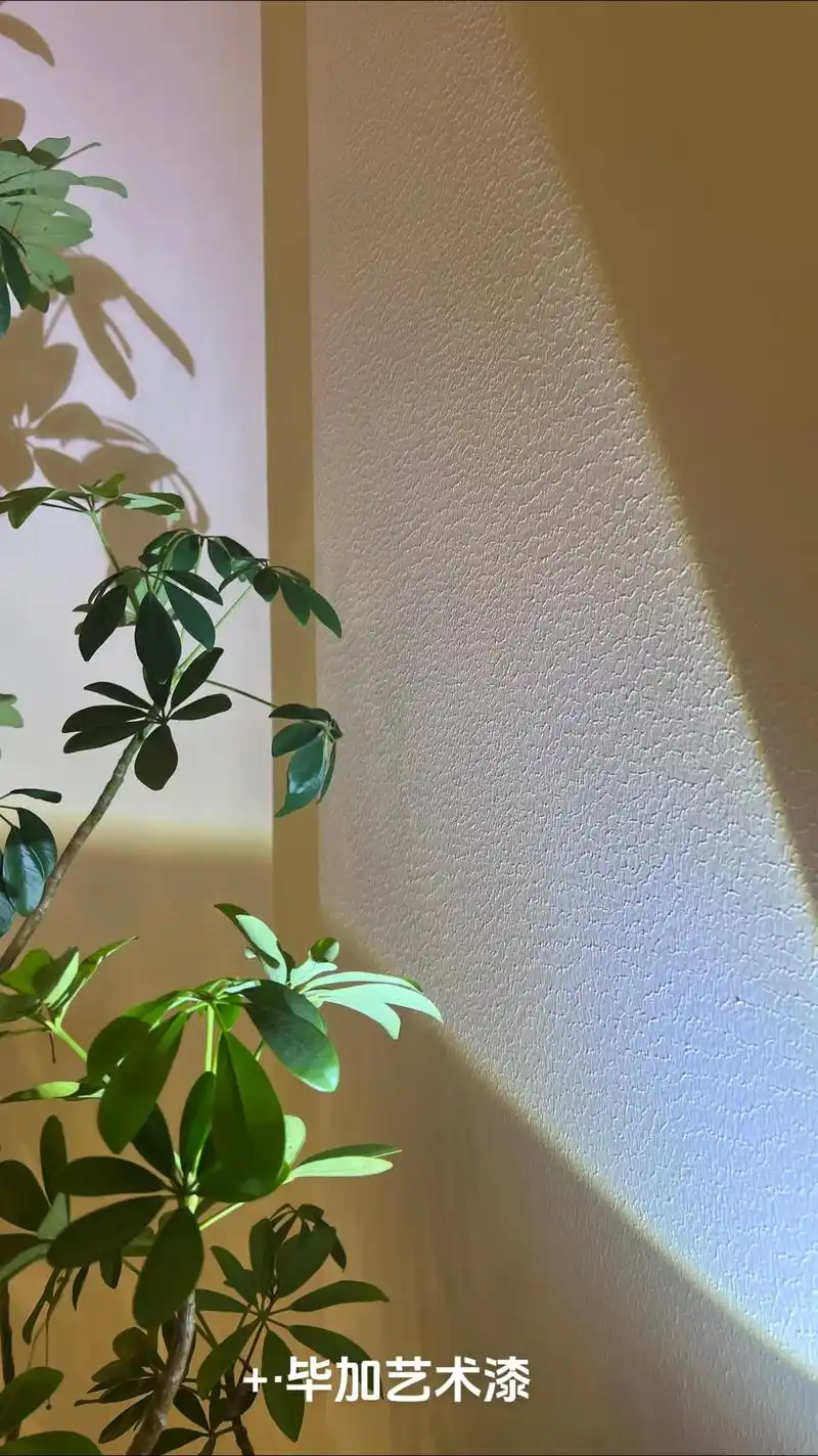 艺术肌理漆 小羊皮纹 万科公园五号实拍.#pica毕加艺术漆 - 抖音