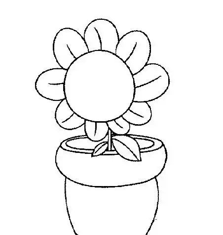 简笔画的花盆怎么画