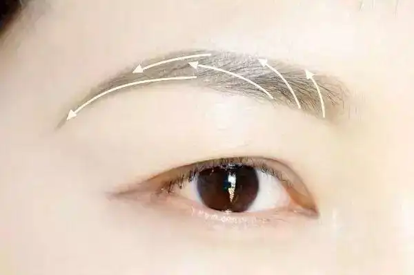 最后眉尾的位置也是一样