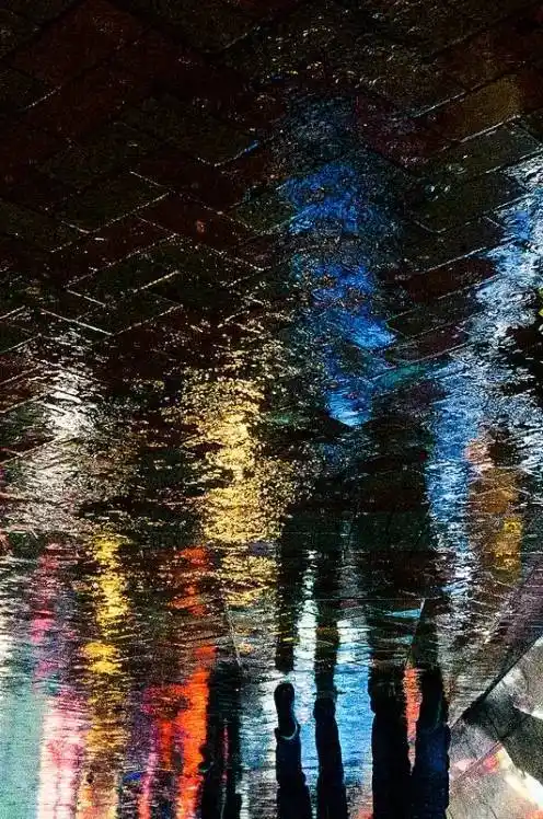 雨景|雨滴|景深|反光_网易订阅