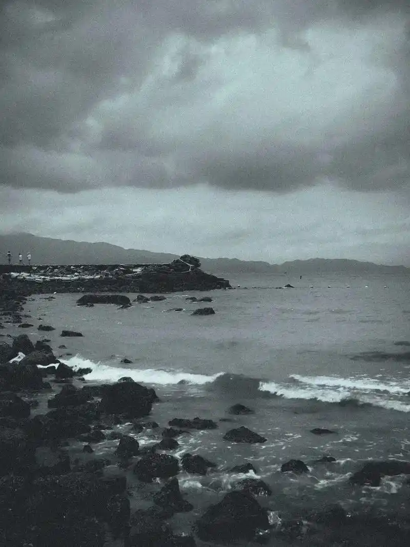 丧.#海 #氛围感 #黑白系 #静谧 - 抖音