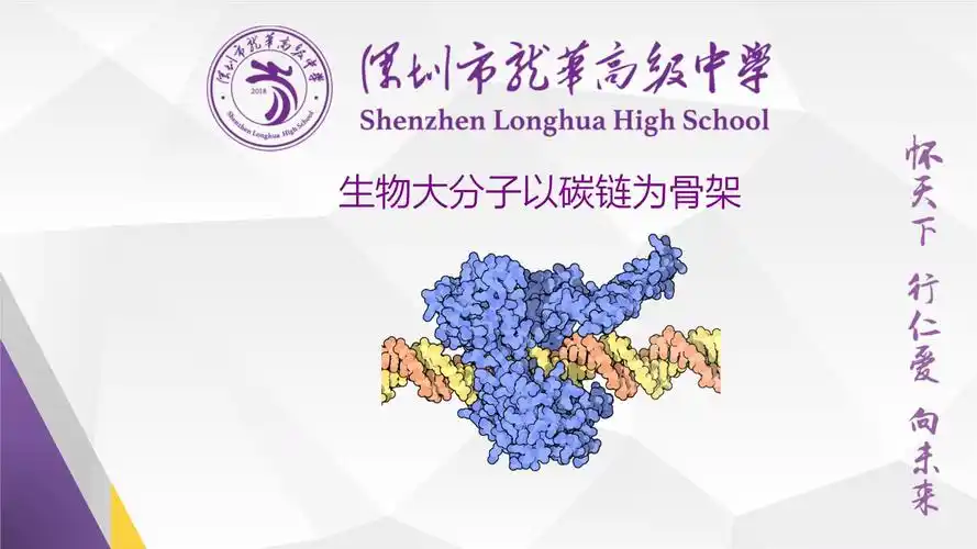 高中生物生物大分子以碳链为骨架课件