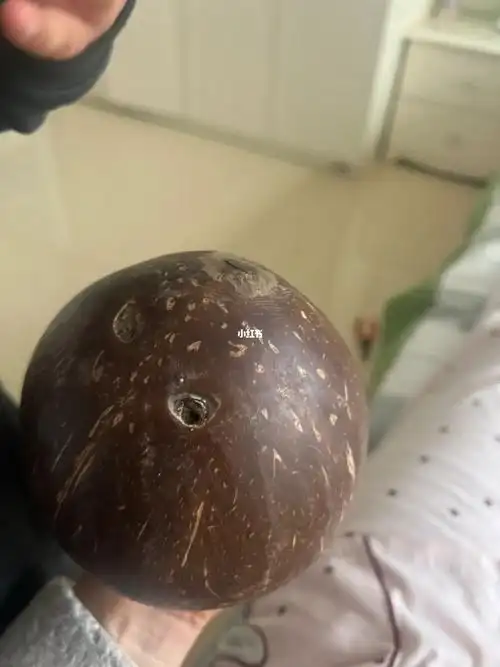 拉环的另一端,有三个孔,用尖锐的东西,扎开就可以喝了#椰子水