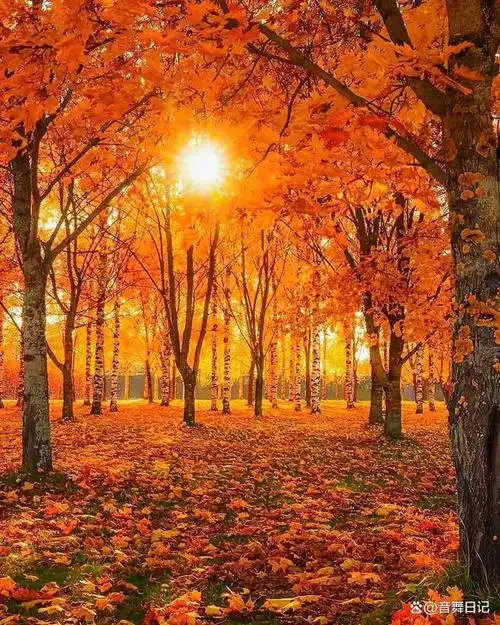 最美风景,阳光之恩