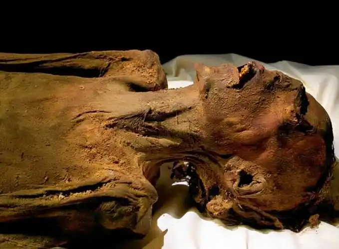 最开始发现木乃伊是因为有人想去金字塔内避暑,却闻到腐臭味道,进去一