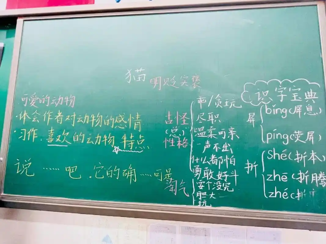 猫# #小学语文板书设计# #课堂板书