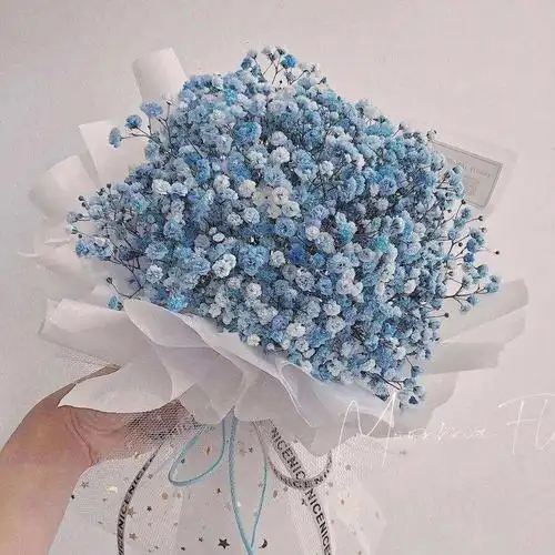 花语:我甘愿做配角,瞒着所有人爱你,我携满天星辰赠你,仍觉满天星辰不