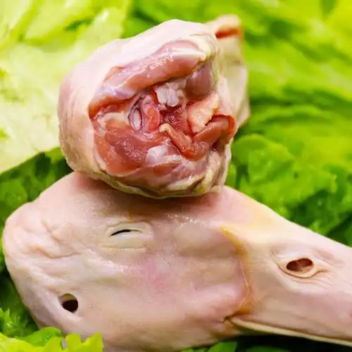 华英生鲜鸭头生冷冻新鲜鸭子清理鸭肉鸭货食材鸭肉