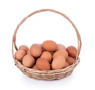 在一个篮子里的鸡蛋图片