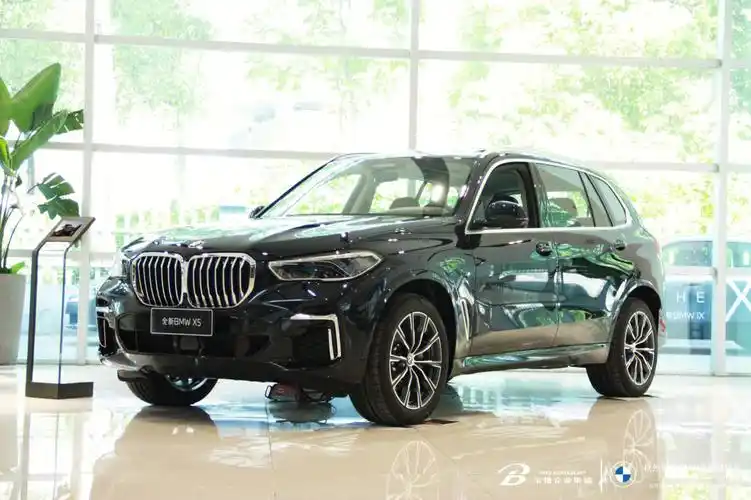 国产宝马x5l起步价60w5