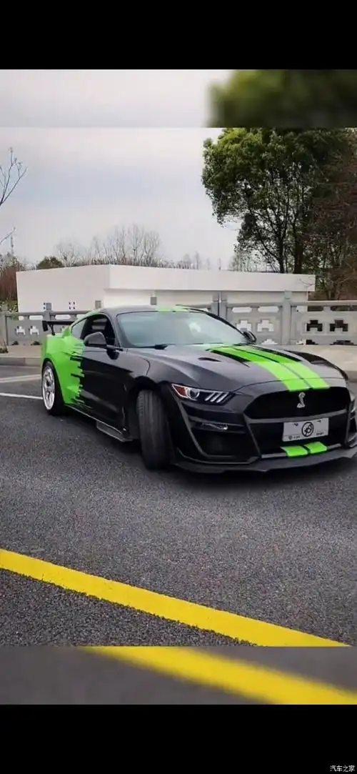 福特野马蝰蛇 直线之王