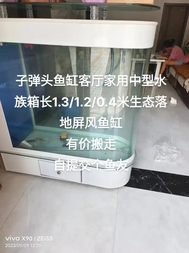 子弹头鱼缸9成新,喜欢的鱼友来.#养鱼养心 #蝴蝶鲤 #观赏 - 抖音