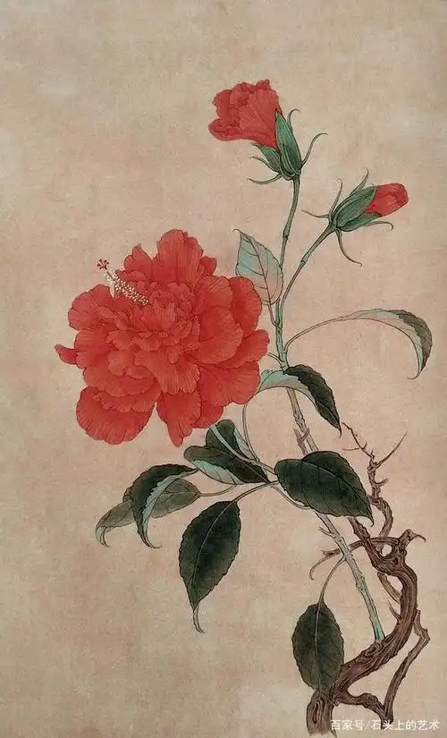 国画基础讲堂|工笔《扶桑》画法步骤