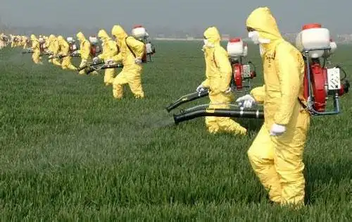 中药制剂将取代化学农药防治农业病虫害