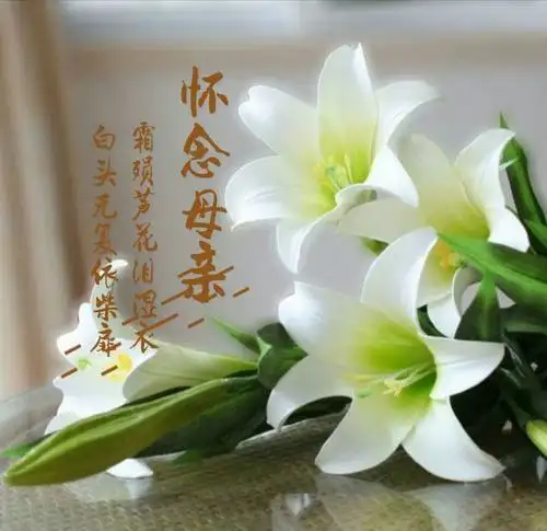 寒衣节诗词【怀念妈妈】