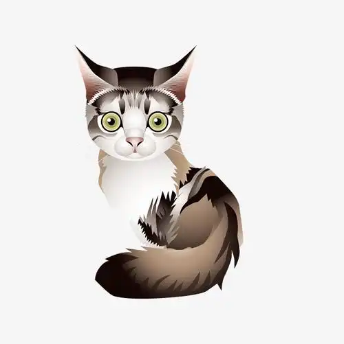 卡通的猫咪