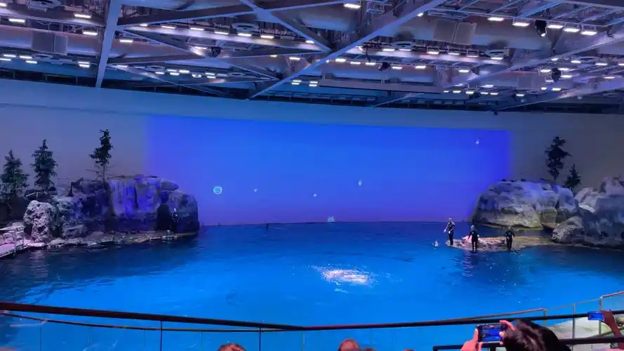 chicago shedd aquarium