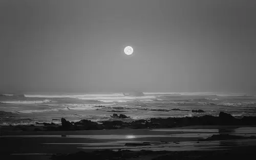 十五的月亮圆又圆