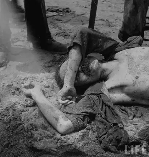 二战中暴尸荒野的日军