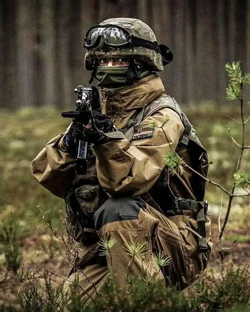 【外军掠影】北约成员国武装力量图集