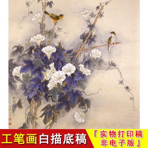 工笔画白描底稿-牵牛花-斗方小品-梁燕生秋意-国画花鸟线条稿a482
