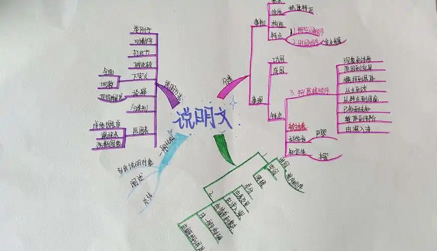 巧用思维导图,助力说明文教学