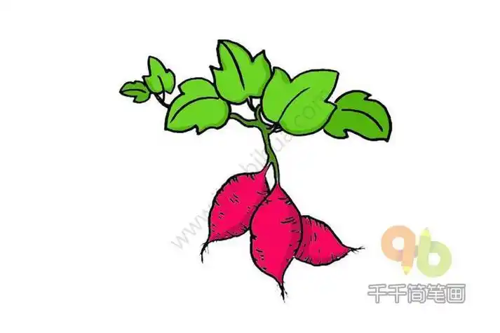 地瓜小人简笔画