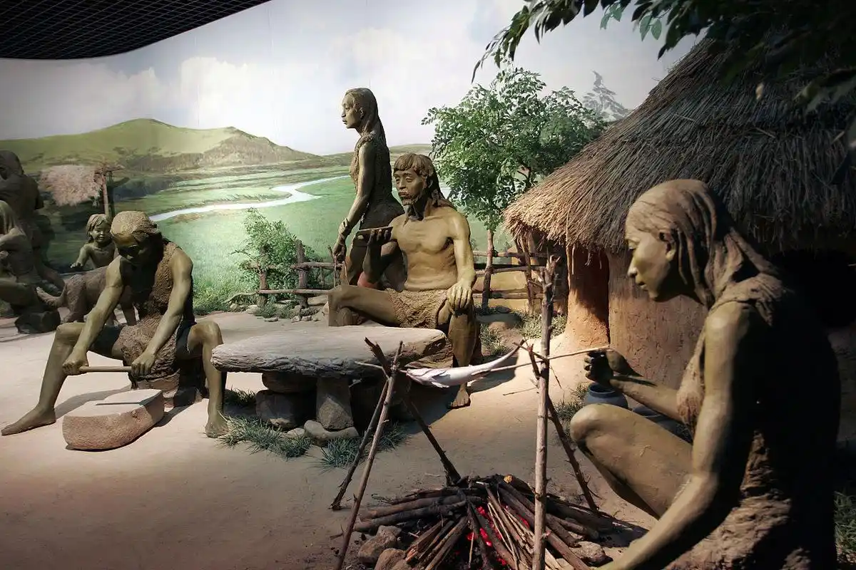 学家在浙江余姚河姆渡发现了一处典型的文化遗址——河姆渡文化遗址