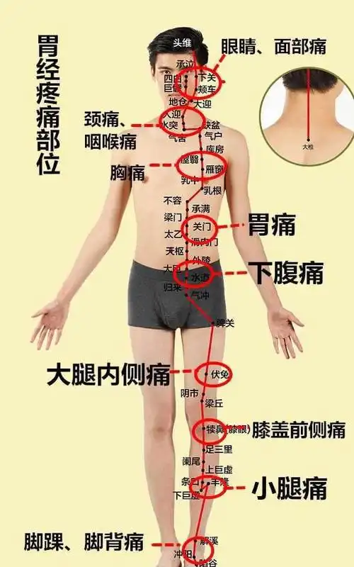 2,胃经疼痛部位1,脾经疼痛部位