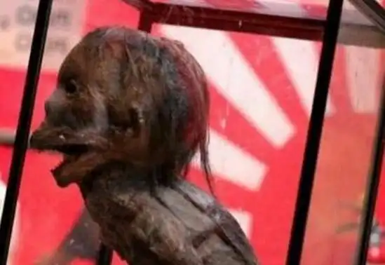 水猴子就是水鬼真的会吃人水猴子水鬼图片太恐怖了