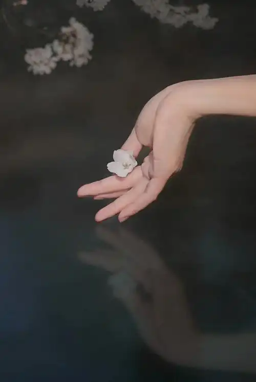 手79 - 堆糖,美图壁纸兴趣社区