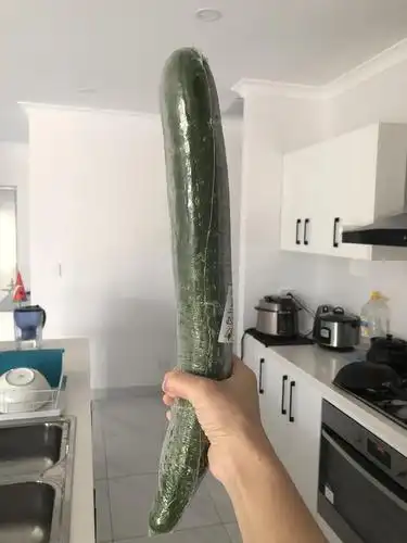 这根黄瓜大的像火炬
