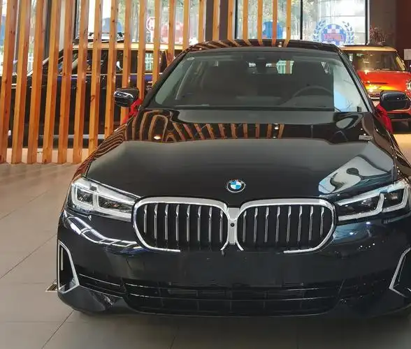 530li尊享豪华 宝石青 摩卡_宝马5系车友圈_懂车帝