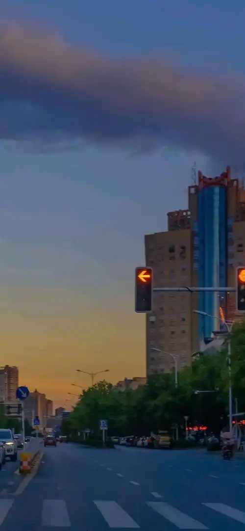 晨晨很酷75十字路口红绿灯壁纸