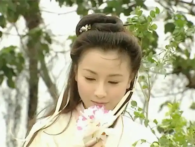 陈浩民和袁洁莹主演的《人龙传说》,鹅们看过吗?