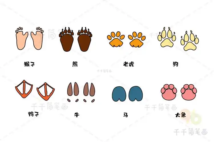 动物的脚印涂色画图片模板_脚印简笔画