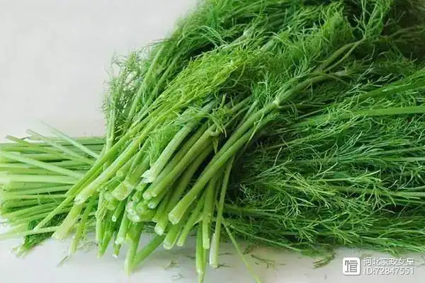 右:大茴香左:小茴香大茴香也就是大料,学名叫"八角茴香".