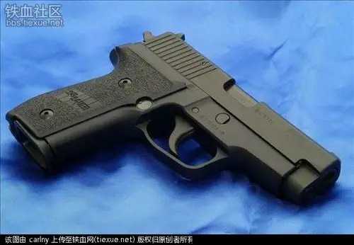 枪杀广东两警察凶犯用的枪 德制西格绍尔p228