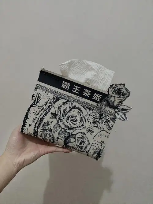 霸王茶姬的袋子千万不要扔,快来改造纸巾盒!#分享生活 - 抖音