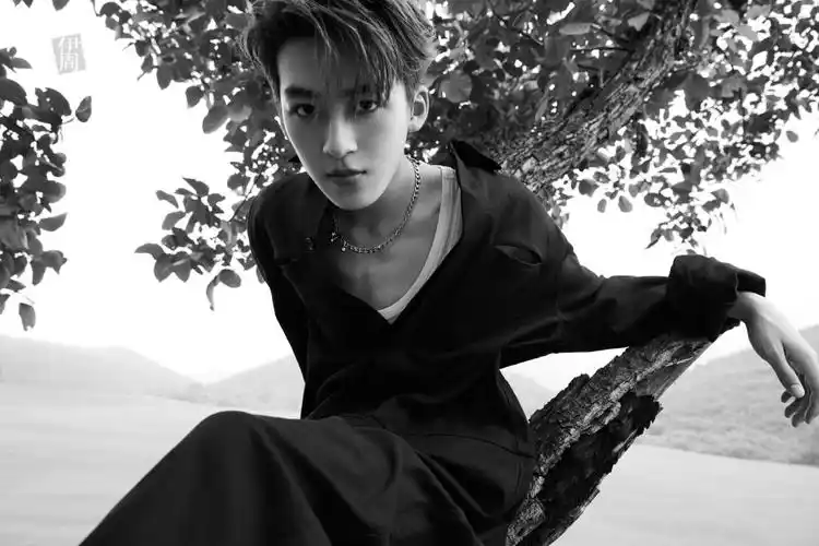 分享一组何洛洛图片给大家,图中的明星图片壁纸会点缀你的电脑桌面