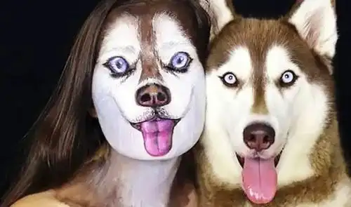女子把自己化妆成哈士奇当二哈看见后感觉整只狗都不好了