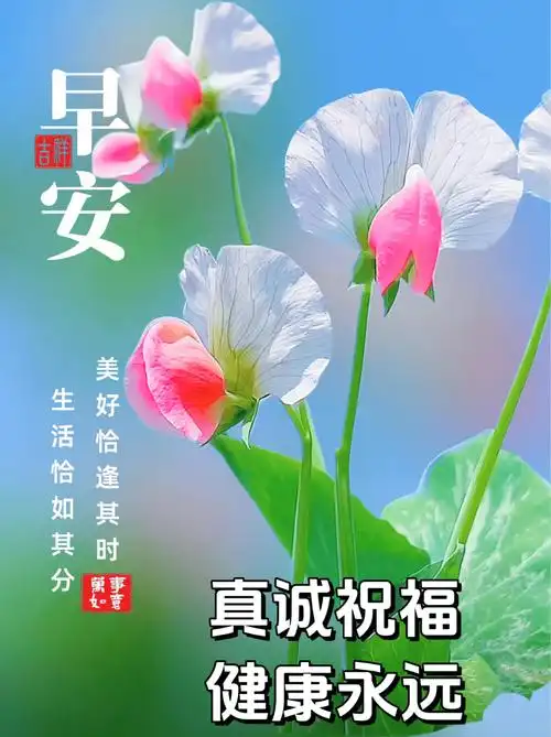 最新版最漂亮的早上好短语句子,日常多牵挂,相互都平安_问候_祝福