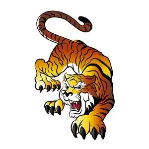 tiger illustration .cartoon tiger 照片