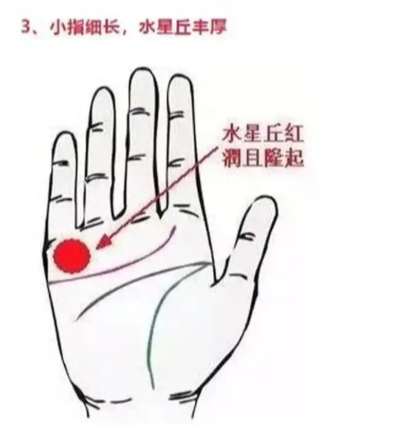 手相|天生好命的女性(3) 3,小指细长,水星丘丰厚 谓水星丘,就是小指