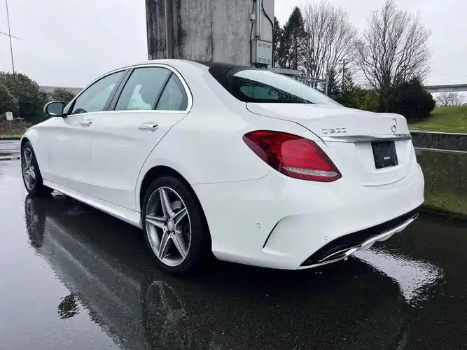 2016 奔驰 c300