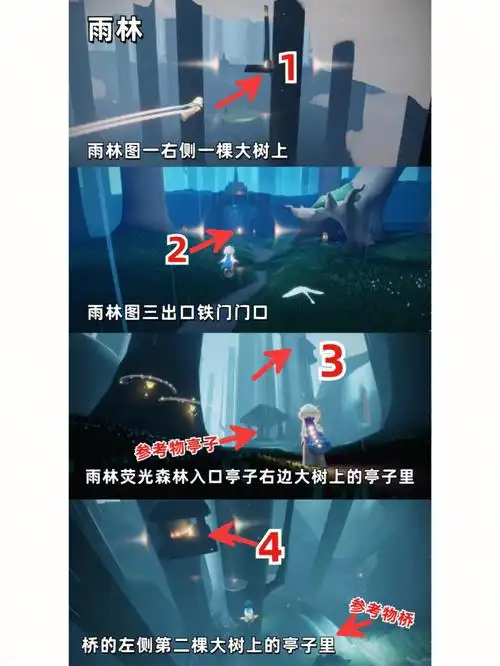 光遇雨林小金人位置图解