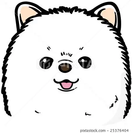 博美犬头像简笔画