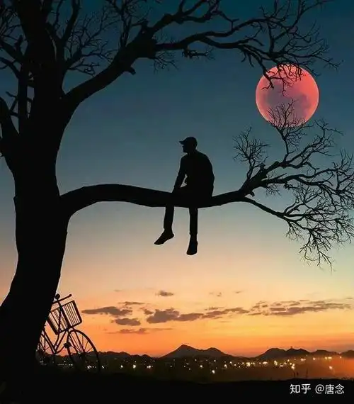 陌生人你好,可以给我一张你们收藏的伤感图片吗? - 知乎