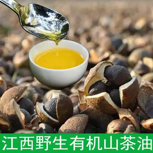 野生农家茶油山茶油食用油茶籽油自榨孕妇婴儿护肤纯山茶油